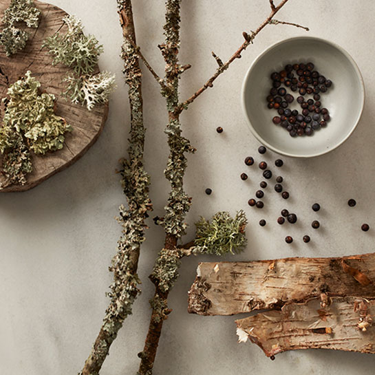 How To Use A Reed Diffuser Feather & Black