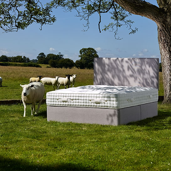 This is why you need a Harrison Spinks Mattress